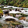Newhalem Creek taken with my phone. Rio Newhalem tirado usando meu telefone..